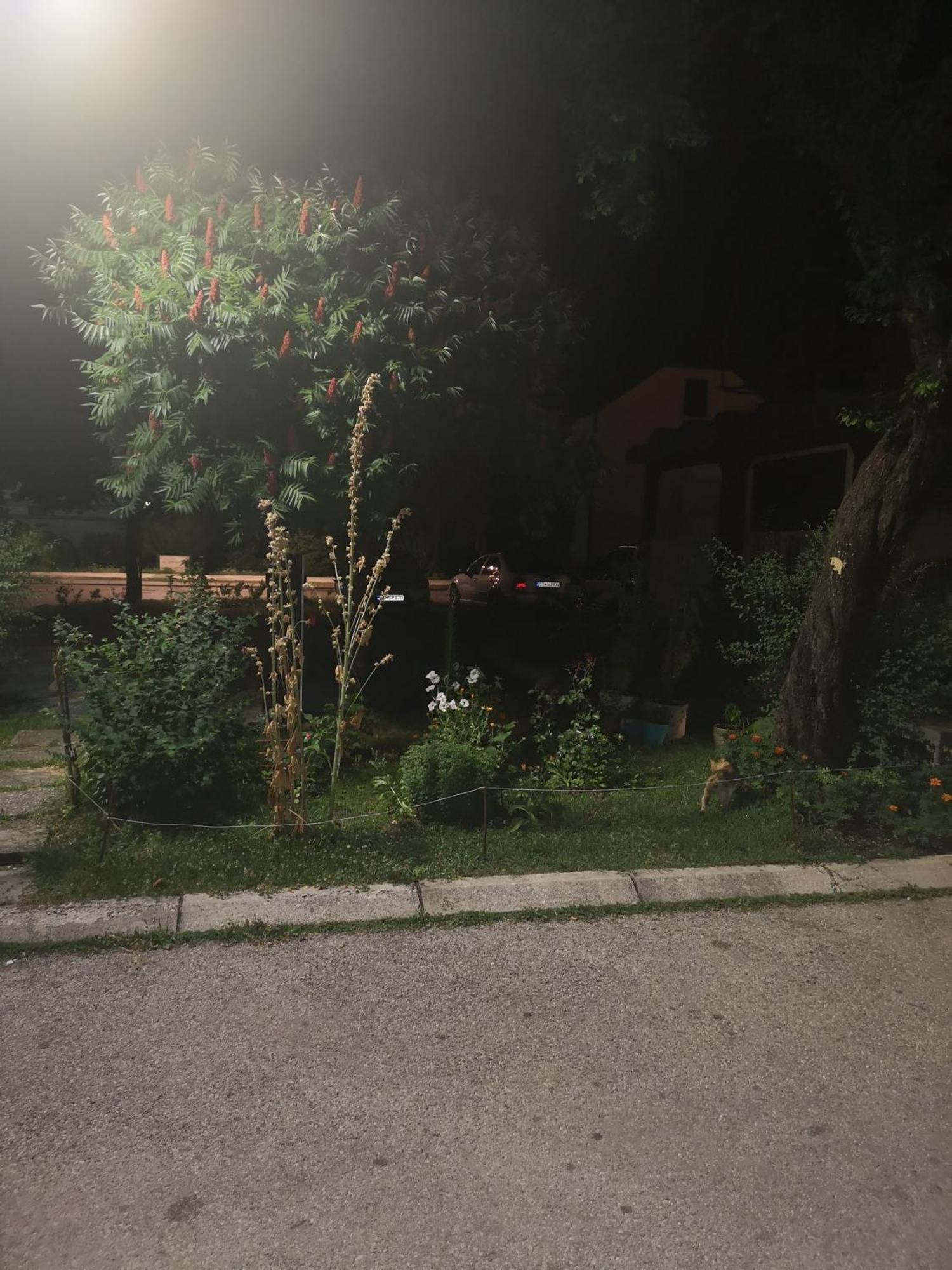 센틴제 Apartman Sunny 아파트 외부 사진